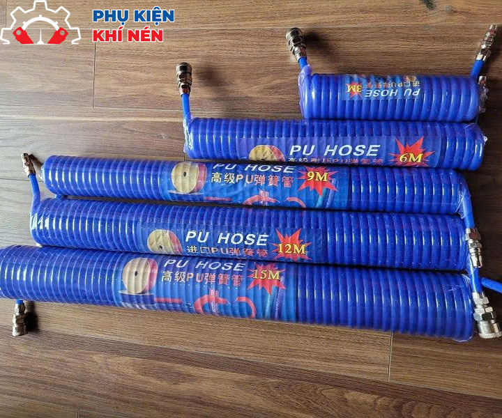 day-hoi-xoan-phi-8-4