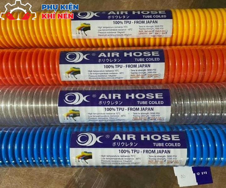 day-hoi-xoan-phi-8-1