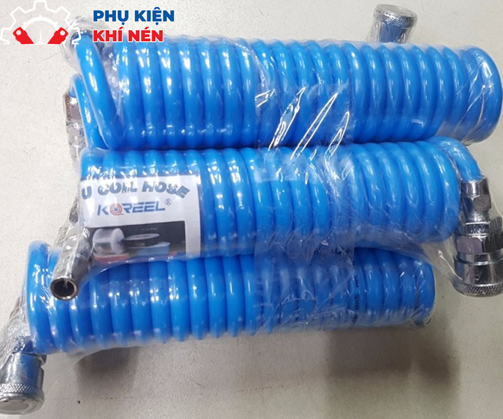 day-hoi-xoan-phi-12-3